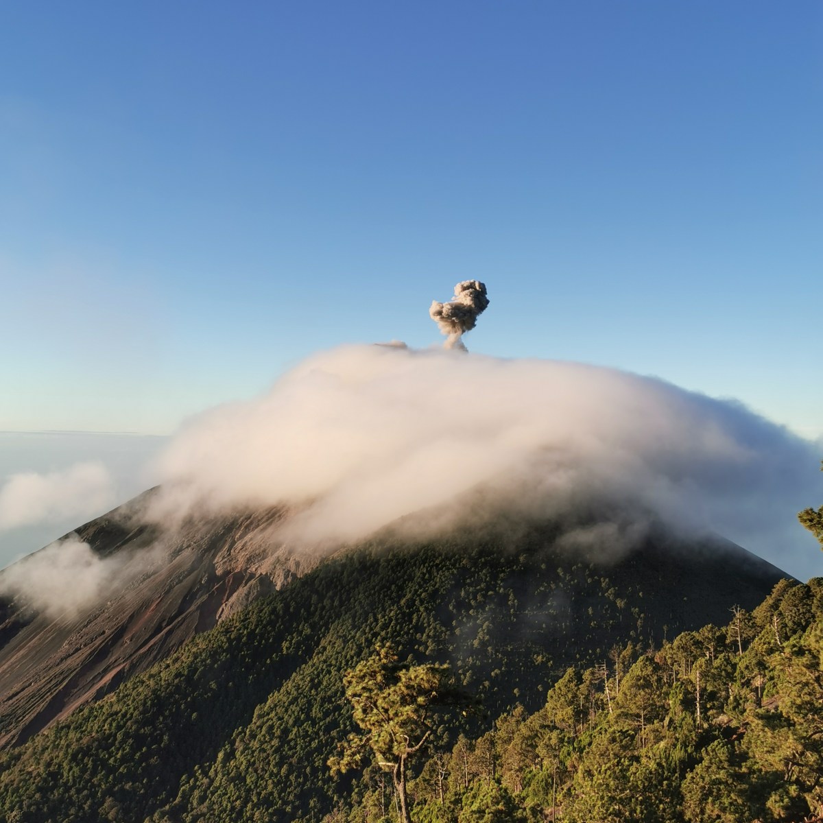 Ascension du volcan&nbsp;Acatenango