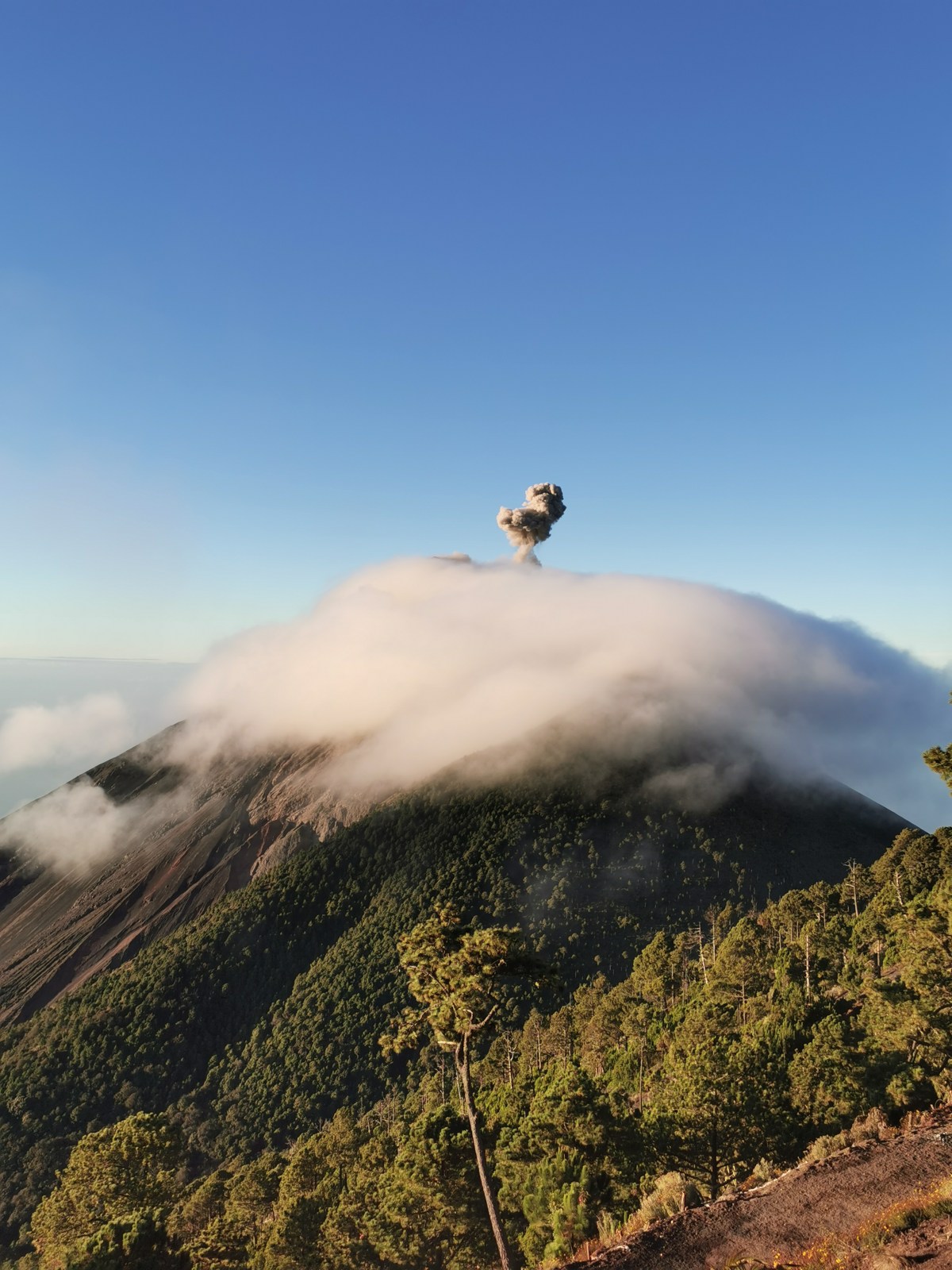 Ascension du volcan&nbsp;Acatenango